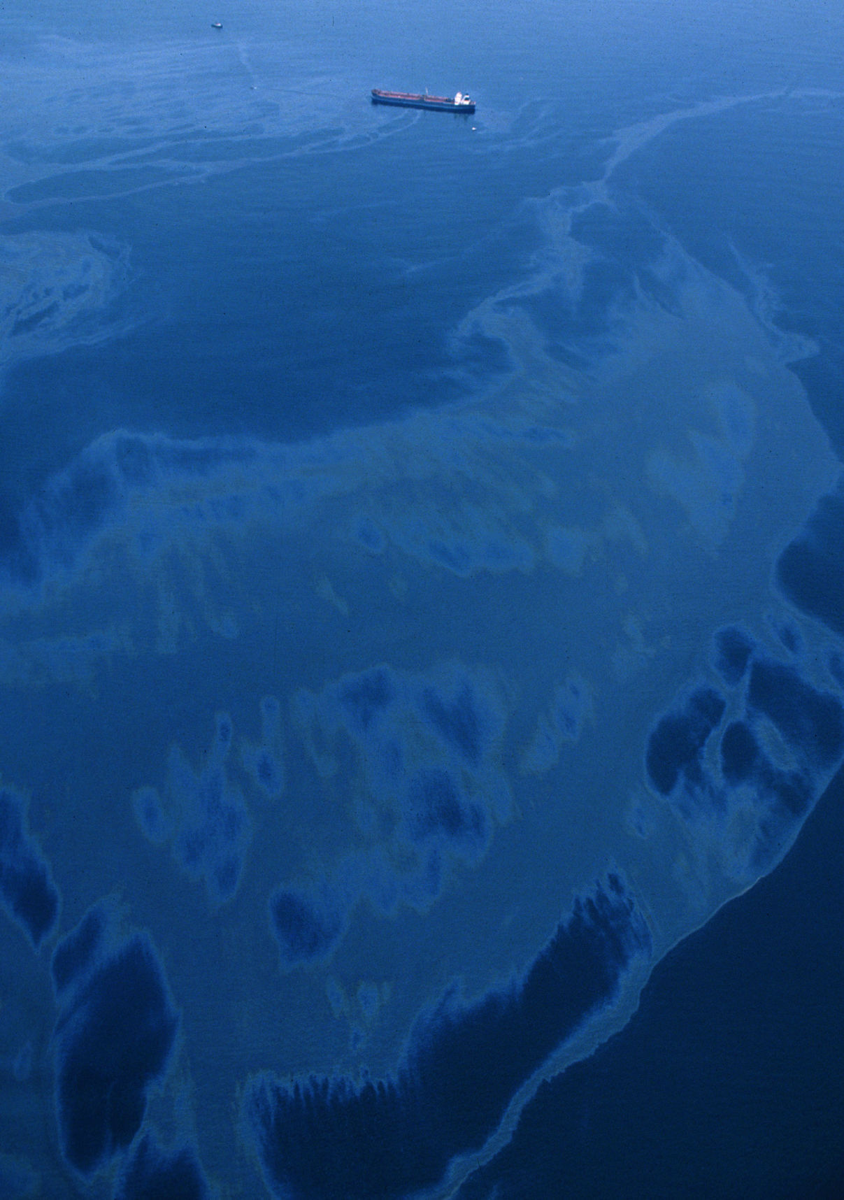 Exxon Valdez Oil Spill